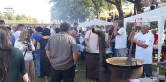 Vodič kroz Valjevo i Festival duvan čvaraka